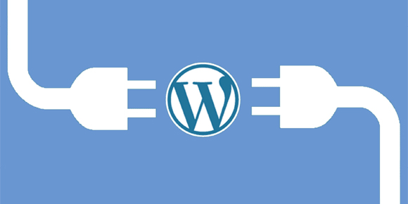 Custom WordPress Plugins Development