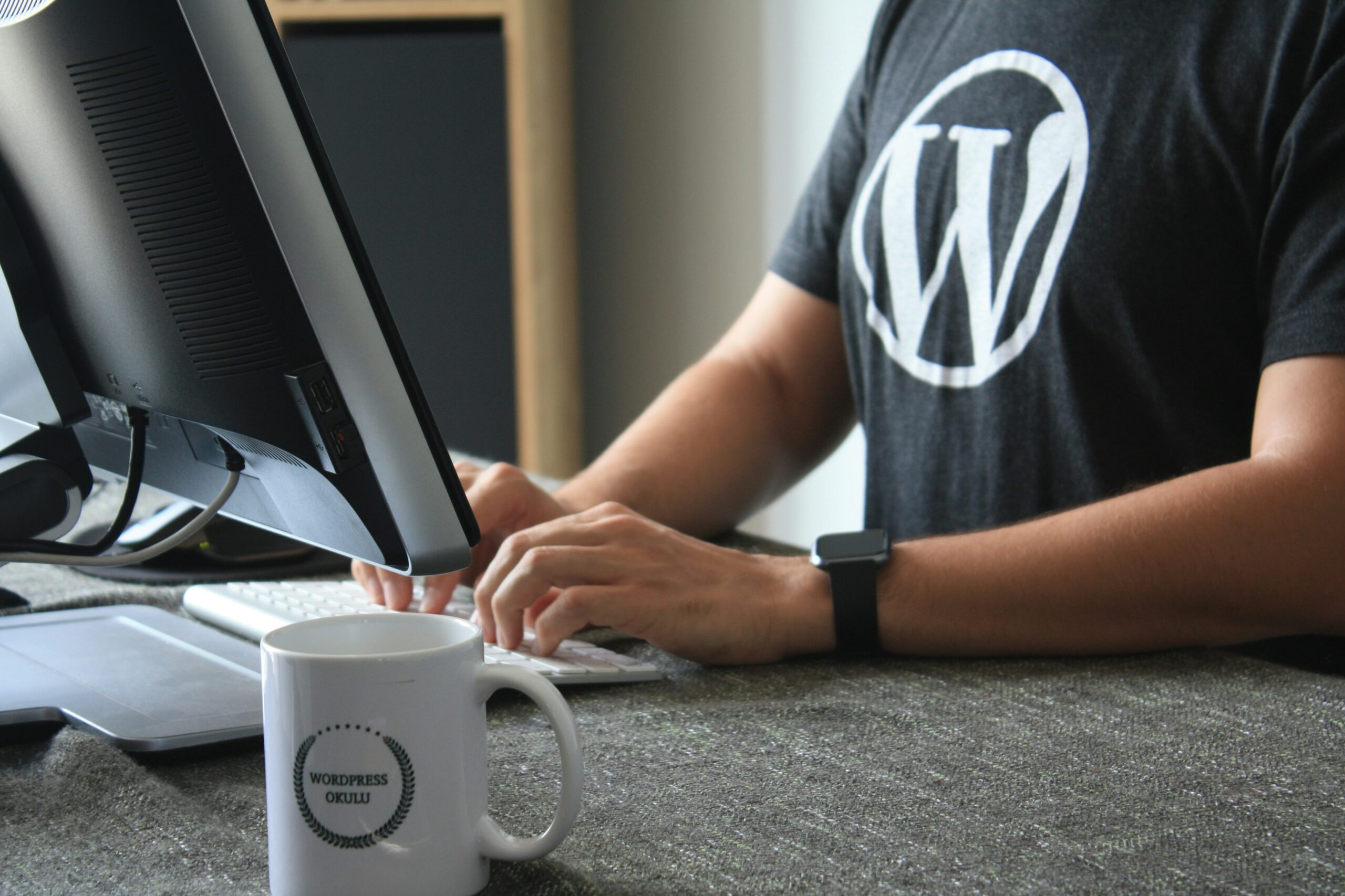 WordPress Customization Service